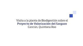 Visita a la planta de biodigestión  Proyecto valorización del sargazo [upl. by Celio194]