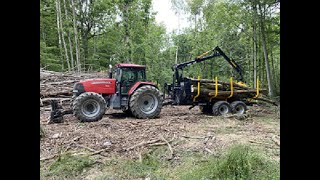 Mise en route de la remorque forestière 163T et grue 7m20 MARY AGRI avec tracteur McCORMICK 👍 [upl. by Halonna988]