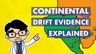 Continental Drift Evidence Explained [upl. by Tierell]