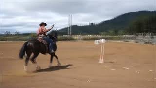 Second and third week of the 100 day OTTB challenge training done by Shelby Ahrens [upl. by Anauqat]