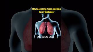 How does longterm smoking harm the lungstobacco hazard health change youtube foryou fyp [upl. by Arahat]