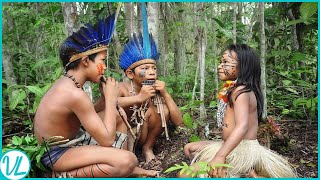 This Is How Tribes In The Amazon Rainforest Live [upl. by Ynttirb411]