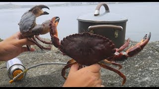 Crab Catch and Cook  Crab Boil on the Rock with Zatarain [upl. by Okubo]