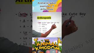 Animal kingdom ncert examples 5 animalkingdomclass11 [upl. by Eirallam]