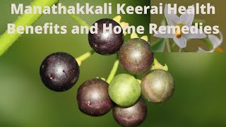 Solanum nigrum health benefits and home remedies [upl. by Bogoch]