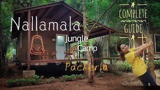 NALLAMALA Jungle Camp  PACHERLA  330kms from Hyderabad  Cinematic [upl. by Robillard]