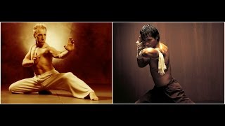 Cyril Raffaelli VS Tony Jaa [upl. by Caryl]