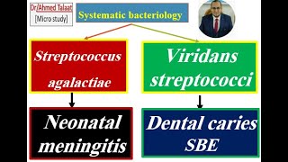 Streptococci 7 Streptococcus agalactia and viridans streptococci “Medical microbiology [upl. by Lavina422]