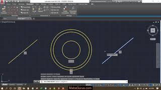 How to Turn Off And Delete Constraints in Autocad Delete Constraints Autocad in Hindi [upl. by Torey]