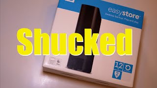 Shucking an Easystore 12TB external Hard Drive [upl. by Lebasy963]