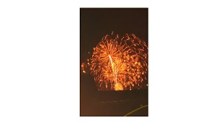 EXPLOSIONS OF FUN On Fireworks Night fireworks firecracker rocket autumn shortvideo shorts [upl. by Leunad]