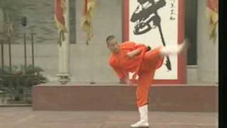 Shaolin Guan Dong Quan  Eastern Gate Boxing 少林关东拳 [upl. by Robinet408]