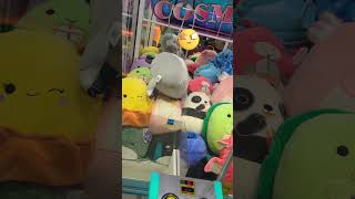 Lucky XL Claw Machine WIN Giant Squishmallow clawmachine cranegame squishmallows extremeclaw [upl. by Yltsew670]