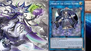 White Woods Meta Relevance Closed Heaven Confirmed INFO Format [upl. by Silloh431]