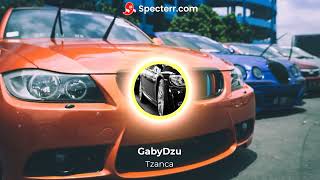 Tzanca Uraganu Tiganca balcanica bass boosted GabyDzu [upl. by Nileak]