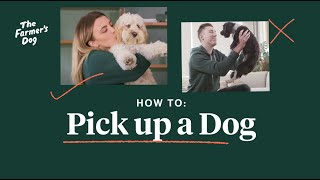 How To Pick Up A Dog [upl. by Einavoj]