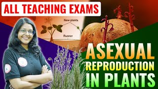 BIOLOGY for All Teaching Exam Asexual Reproduction in Plants  competitionguru biology [upl. by Ambler]