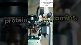 chlorella algae spacealga biofacts bioscience botany biology facts viralvideo viralshorts [upl. by Couhp]