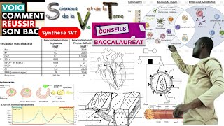 SVT 2024Sujet susceptiblesResumé de coursComment réussir son BAC [upl. by Nickles283]