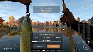 Fishing Planet  Unique Chain Pickerel  Emerald Lake [upl. by Con711]