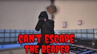 NEW LEAF RP Cant ESCAPE the REAPER reactionFuriousFade amp SunnySide95 [upl. by Jinny]