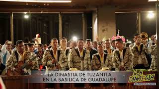 LA DINASTIA DE TUZANTLA LE CANTA A LA VIRGEN EN SU CASA LA VILLA DE GUADALUPE [upl. by Lrae]