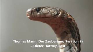 Thomas Mann Der Zauberberg 7w von 7 – Dieter Hattrup liest [upl. by Ecinad31]