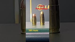 What you need to know 380 Auto vs 9mm Parabellum [upl. by Olnek]