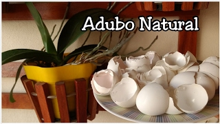 ADUBO NATURAL PARA ORQUIDEAS [upl. by Prochora]