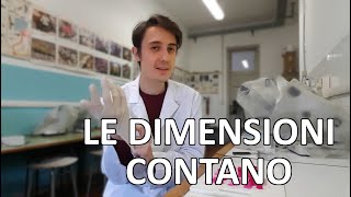 Le dimensioni contano  almeno per le cellule [upl. by Karry283]