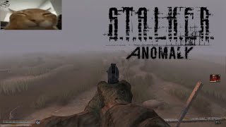 STALKER Anomaly Explained In 3 Minutes [upl. by Niessuh]