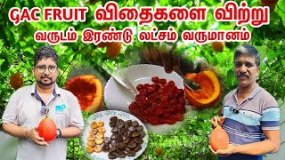 Gac Fruit விதைகளை விற்று வருடம் இரண்டு லட்சம் வருமானம்  Gas Fruit  Country Farmss [upl. by Blakely]