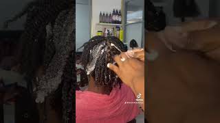 How To Do Two Strand Twist on Natural Hair [upl. by Magdalen]