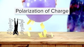 Polarization of Charge [upl. by Tyrus575]