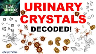 Practical Pathology Examination of urine sediment URINARY CRYSTALS [upl. by Gerdi736]