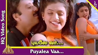 Puyalea Vaa Video Song  Chinna Raja Tamil Movie Songs  Karthik  Roja  Deva  Pyramid Music [upl. by Redep461]