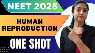 Human Reproduction One Shot  Full Chapter  Class 12 Biology  NEET 2025  tanujabiostudies [upl. by Nahamas]