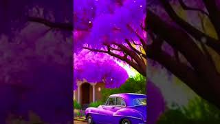 Nothing gonna change my love for you shortvideo love music song Josnolyn [upl. by Hassi611]