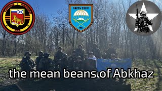 The mean beans of Abkhaz  Milsim west Abkhaz incursion [upl. by Nylaj]