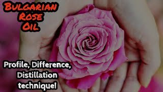 Bulgarian rose oil  Damask rose Explained [upl. by Bedelia]