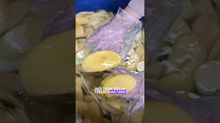 INTIPP‼️ PROSES BUAT KRIPIK MANGGA🥭‼️REMAJA SUKSES OMSET JUTAAN HARI HANYA DENGAN BISNIS ONLINE💸 [upl. by Sarkaria]