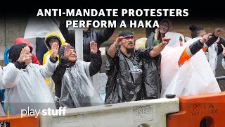 Wellington Protests Antimandate protesters perform a haka outside parliament  Stuffconz [upl. by Okomot]