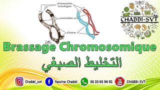 BRASSAGE CHROMOSOMIQUE [upl. by Adnima381]