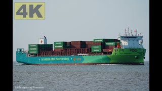 ECO MAESTRO  Shipspotting Germany 🇩🇪 IMO 9985942  River Elbe near City Otterndorf  4K VIDEO [upl. by Ennis]