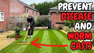 This One Thing will Help Prevent DISEASE and WORM CASTS in Your Lawn [upl. by Goldman996]