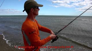 Pêche en surfcasting de la doradedaurade au Petit Travers à Carnon Europêche34 [upl. by Gombosi]