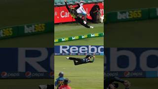 Top3 Best💥Fielding✨Effort in Cricket🤯history🔥trendingtamilviralcricketcatchfieldingshorts [upl. by Warp]