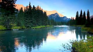 Calm Mountain River flowing in Elk Valley 4k Relaxing River Sounds Nature White Noise 10 Hours [upl. by Zared]