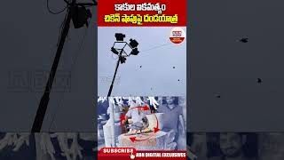 Ambedkar Konaseema  కాకుల ఐకమత్యం చికెన్ షాపుపై దండయాత్ర  Crows chickenshop abndigital [upl. by Inez911]