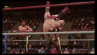 The Quebecers vs Justin Hawk Bradshaw amp The Stalker  WWF World Tour [upl. by Berfield]